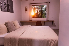 Apartamentos con vista boscosa y parking en Buenos Aires, Medellín